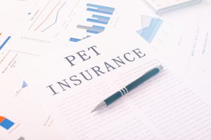 Contrat d'assurance santé pour animaux